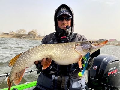 Х Baits Maski’n на нижней Волге